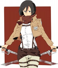 Mikasa Ackerman (Shingeki no Kyojin) #9265